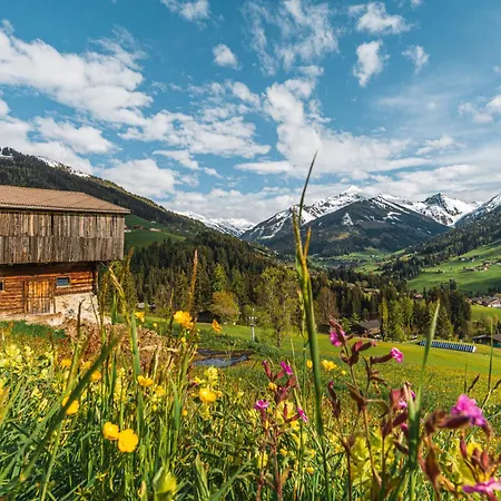 Strumpfburg By Alpenglueck